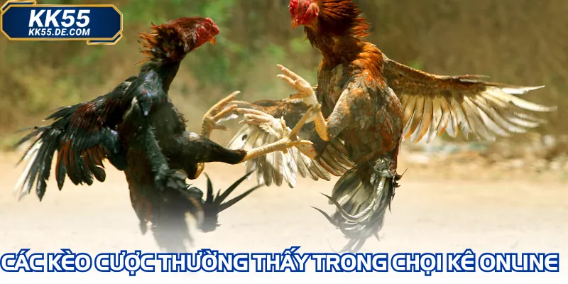 Các kèo cược thường thấy trong chọi kê online
