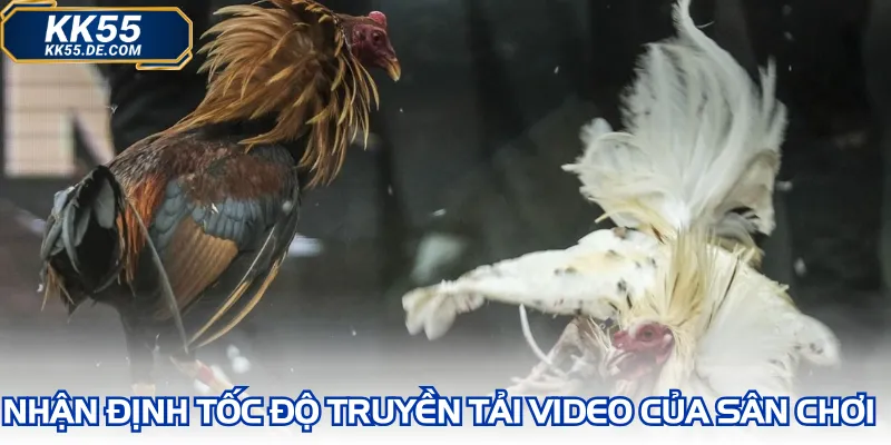 Nhận định tốc độ truyền tải video của sân chơi